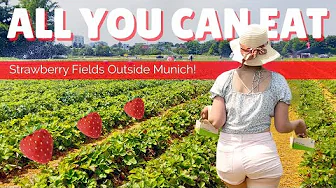 The Endless Fresh Produce Adventure In Germany You've Been Missing | Munich, Germany