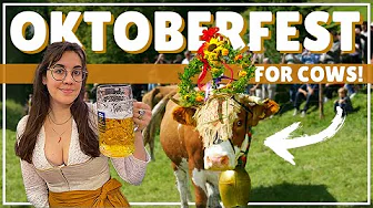 TRADITIONAL Oktoberfest! Americans Explore an Almabtrieb. The Cow and Beer Festival You've Missed